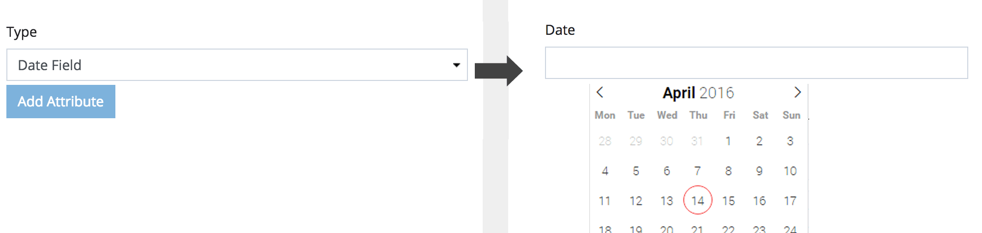 Date Field