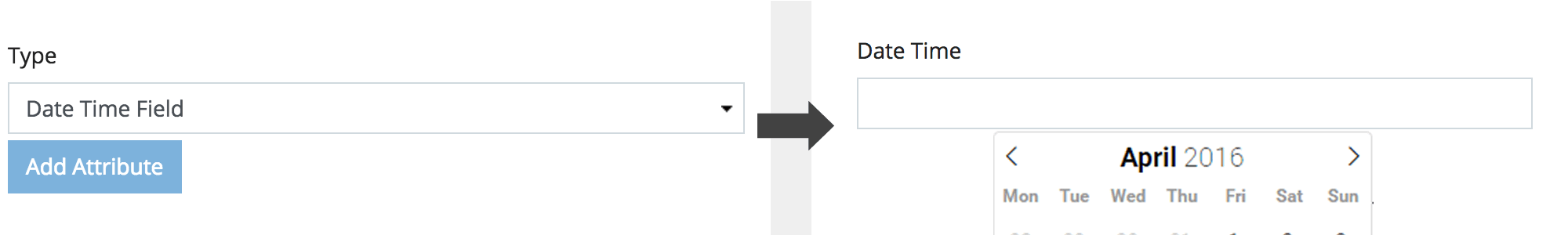 Date Time Field